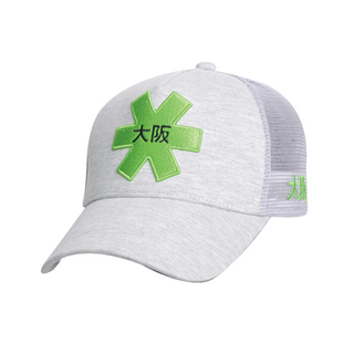 司机帽/网眼帽
